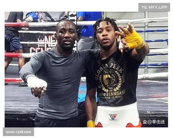 中国拳击锦标赛新星崭露头角展现年轻力量拳坛未来可期